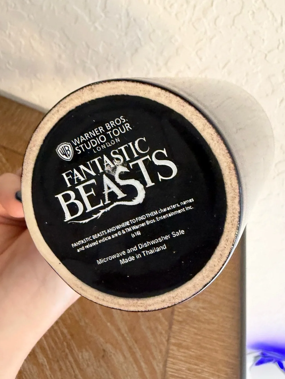 Warner Bros. Black Ceramic Fantastic Beasts Mug with Pink and Blue Accents